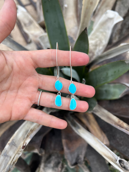 Sonoran Earrings